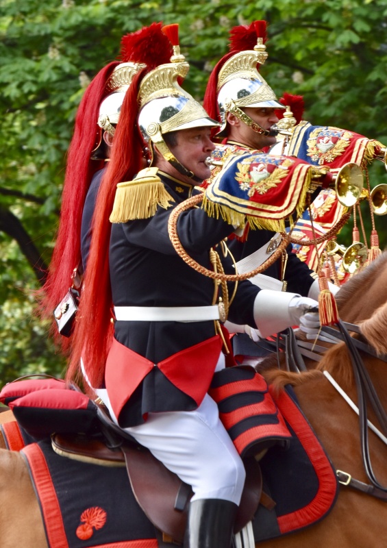 od体育网址-关于法国取得胜利，晋级前景看好的信息