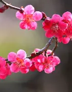 od体育官网-梅斯主教练公开赞扬球队表现，励志向前