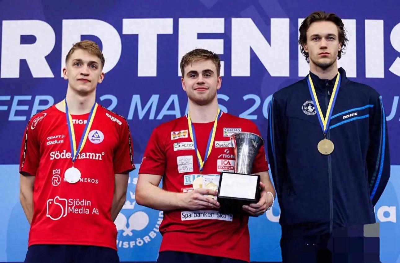 od体育app下载地址-瑞典豪门球队在比赛中逆袭,夺得胜利